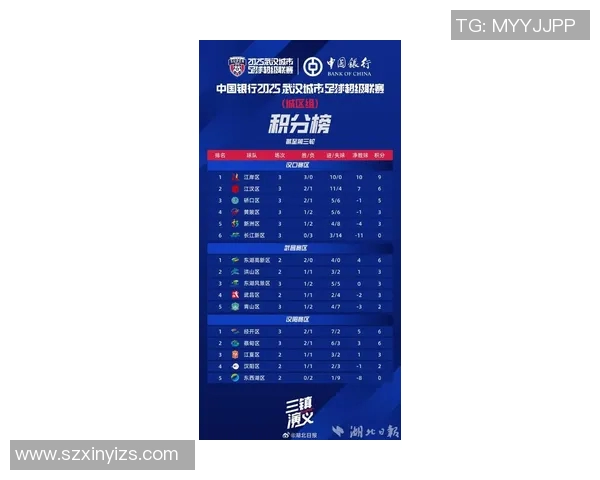 武汉排球队在洲际杯积分榜上以67分稳居第一名展现强劲实力