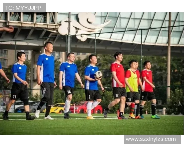 篮球与足球明星的传奇人生与辉煌成就的全景回顾与分析